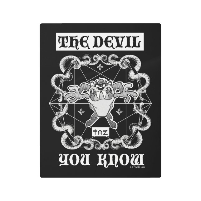 TAZ™ The Devil You Know Metal Print (Front)