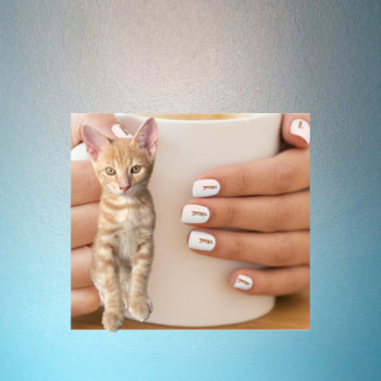 Taz The Orange Tabby Cat Nail Art by CatsEyeViewGifts at Zazzle