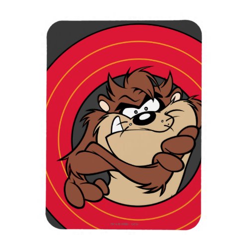 TAZ Through LOONEY TUNES Circles Magnet