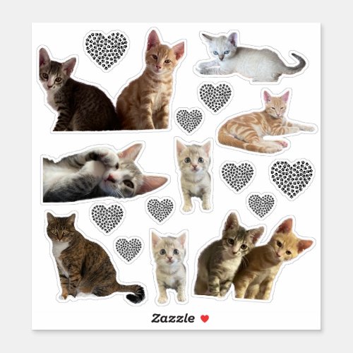 Taz Tito Annie and Winter Kiss_Cut Vinyl Cat  Sticker