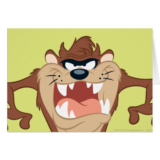 TAZ™ Toothy Grin Cards (Front Horizontal)