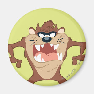 TAZ™ Toothy Grin Magnet