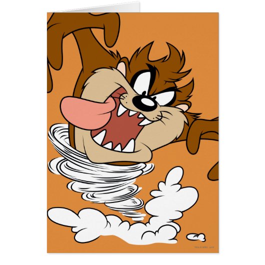 TAZ™ Whirling Tornado Cards (Front)