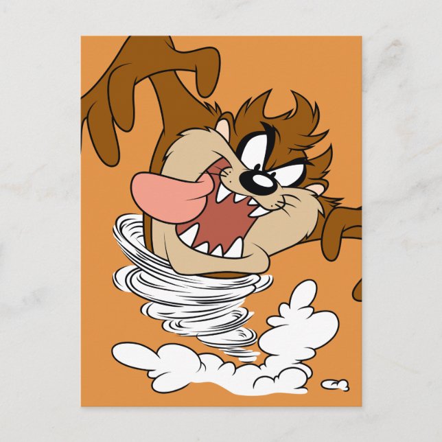 TAZ™ Whirling Tornado Postcard (Front)