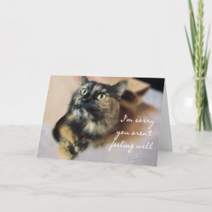 Tazzie-Get Well-customize Card
