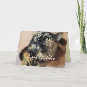 TazzieBday-customize Card