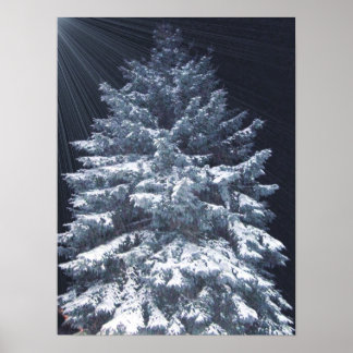 TBA Award- Pine Lights Poster
