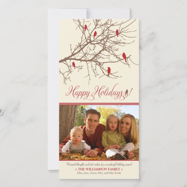 {TBA} Winter Birds Happy Holidays Photo Card (Front)