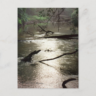 Tchefuncte Glimmer Postcard