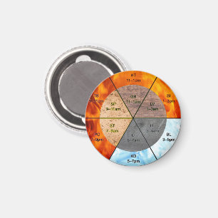 TCM Clinical Magnet Meridian Reference