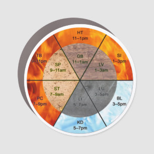 TCM Five Elements Meridian Mobile Marketing Car Magnet