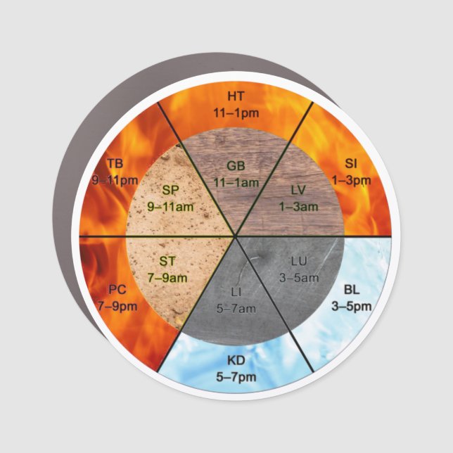 TCM Five Elements Meridian Mobile Marketing Car Magnet (Front)
