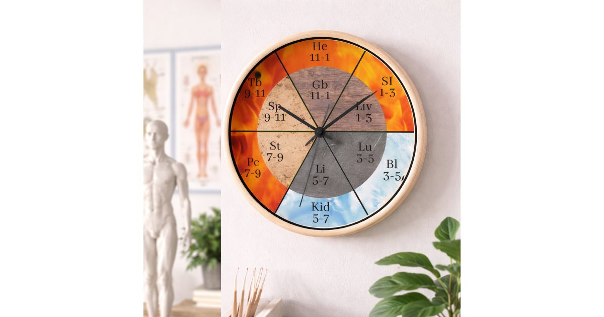 TCM Five Elements Meridian Organ Clock | Zazzle