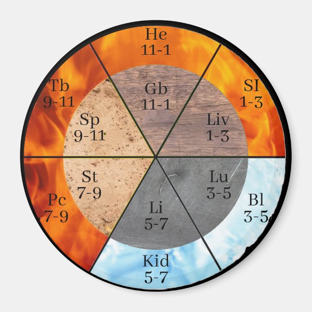 TCM Five Elements Meridian Organ Clock Magnet (Front)