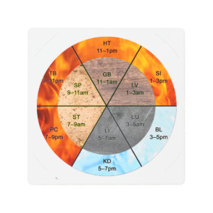 TCM Five Elements Meridian Practitioner Gallery Metal Print