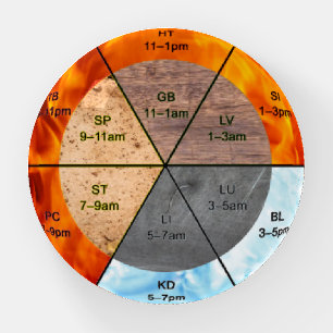 TCM Five Elements Meridian Professional Reference Paperweight