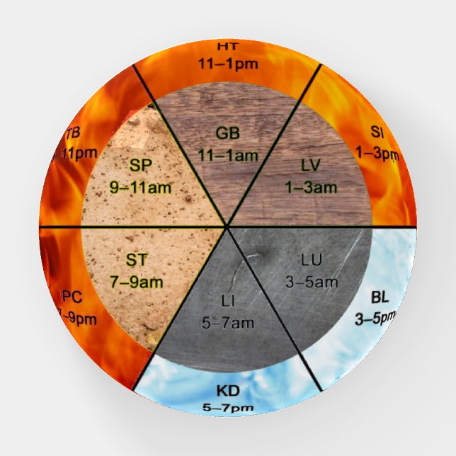 TCM Five Elements Meridian Professional Reference Paperweight (Front)