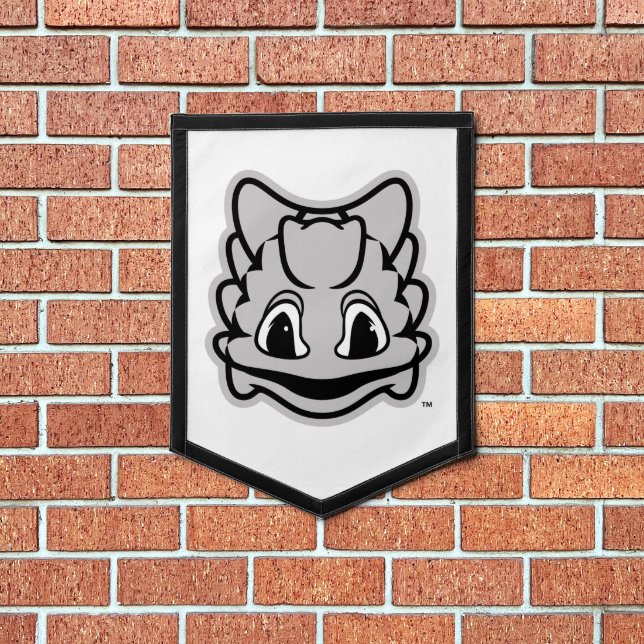 TCU Horned Frogs Pennant (Insitu 1)