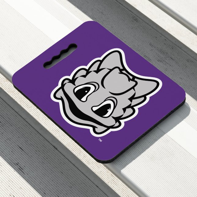 TCU Horned Frogs Seat Cushion (In Situ)