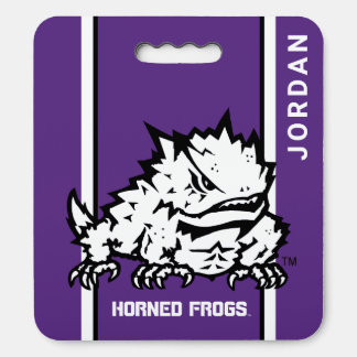 TCU Texas Christian University | Stripes Seat Cushion