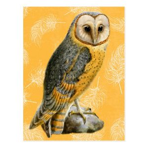 TCWC - Barn Owl Vintage Postcard