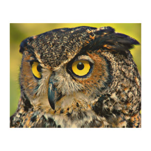 TCWC - Great Horned Owl Wood Wall Art