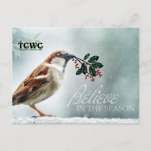 TCWC _ Holiday House Sparrow in the Snow with Logo