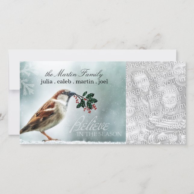 TCWC - Holiday Snowy House Sparrow (Front)