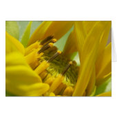 Te amo (Front Horizontal)