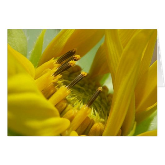 Te amo (Front Horizontal)