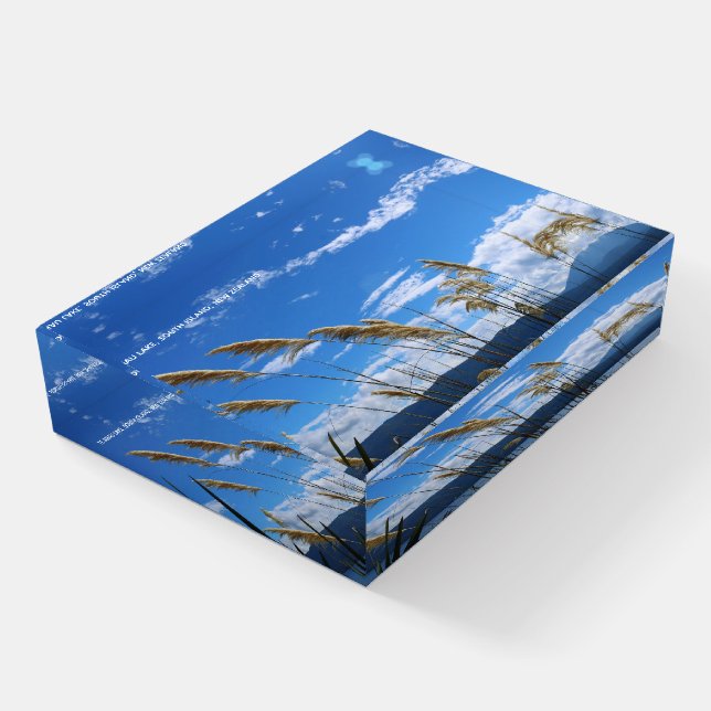 Te Anau Lake, South Island, New Zealand Scenic Paperweight (Angled)