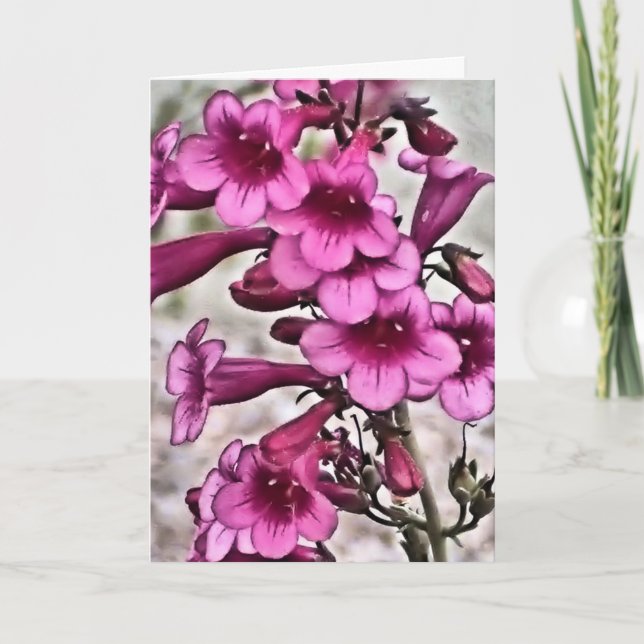 Te quiero,spanish valentines day card (Front)