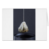 Tea bag is hung in a cup (Front Horizontal)