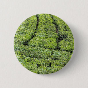 Tea gardens of Munnar on Button