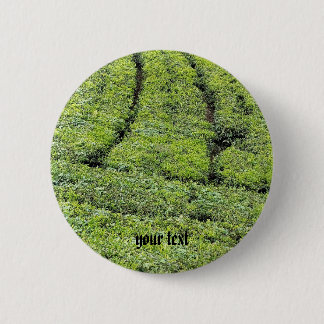 Tea gardens of Munnar on Button