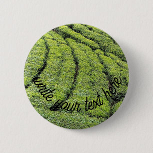 Tea gardens of Munnar on Button