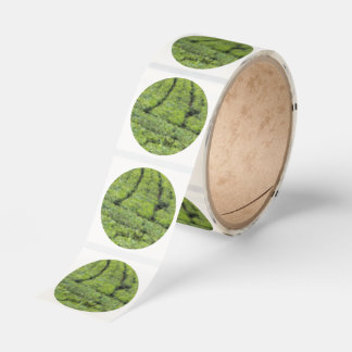 Tea gardens of Munnar on Classic Round Sticker