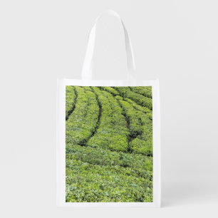 Tea gardens of Munnar on Grocery Bag