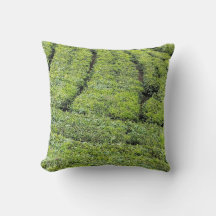 Tea gardens of Munnar on