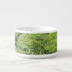 Tea gardens on a chilli bowl