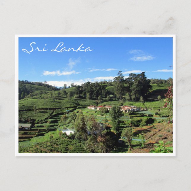 tea hills postcard (Front)