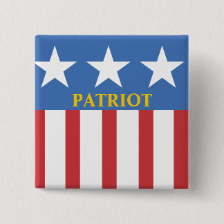 TEA PARTY PATRIOT BUTTON