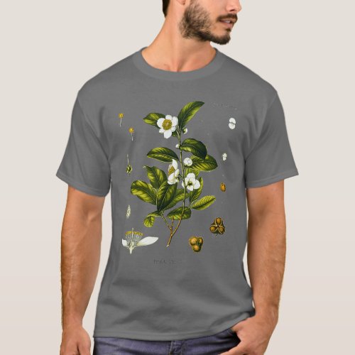 Tea plant biological drawing Camellia Sinensis T_Shirt