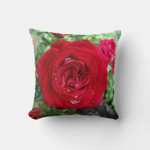 Tea Rose 16" x 16" Throw Pillow