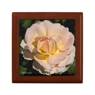 Tea Rose Gift Box