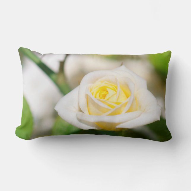 Tea rose lumbar pillow (Front)