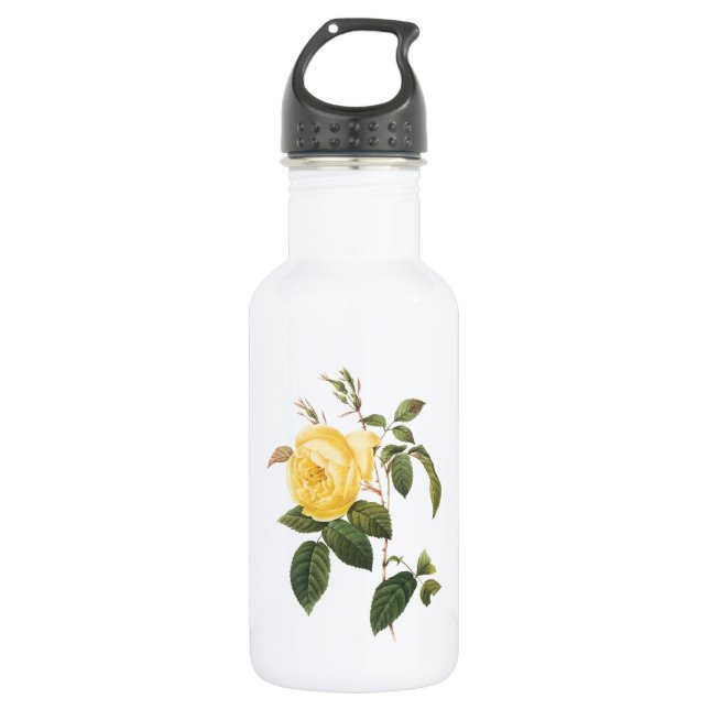 tea rose(Rosa indica) by Redouté Stainless Steel Water Bottle (Front)