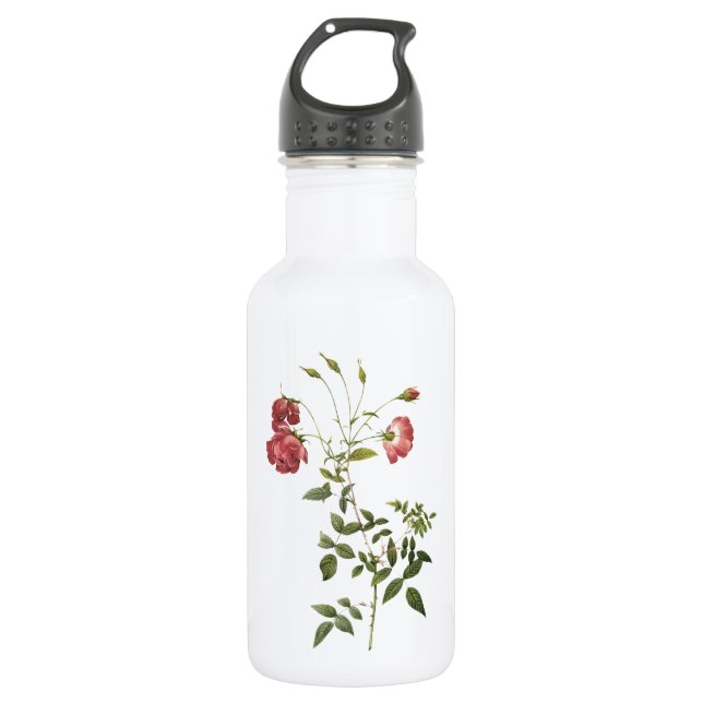 tea rose(Rosa indica sertulata) by Redouté Stainless Steel Water Bottle (Front)