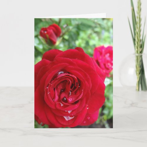 Tea Roses Blank to Personalize Card