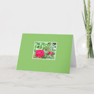 Tea Roses Inset Blank Greeting Card
